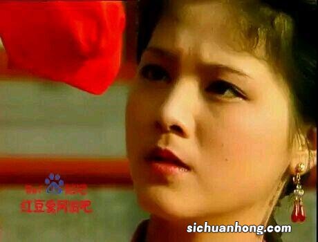 英短能和美短配吗