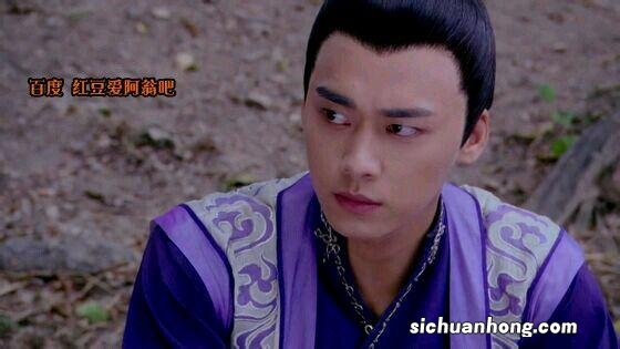 英短能和美短配吗