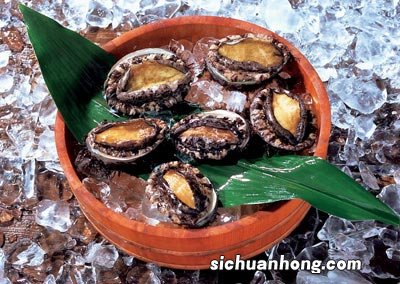 怎么冷冻保存新鲜鲍鱼