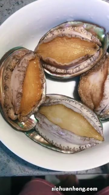 怎么冷冻保存新鲜鲍鱼