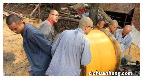 狗只吃肉不吃别的东西怎么办