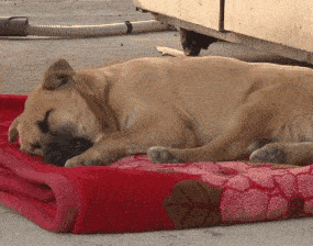 压强公式中的pgh分别指什么