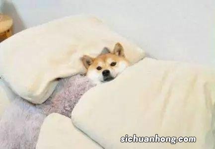 压强公式中的pgh分别指什么