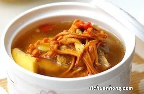 干虫草花跟什么煲汤好