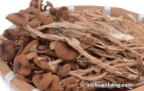 干茶树菇需要泡发多久