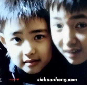 麻纱面料会越洗越软吗