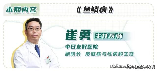 车门润滑用什么油