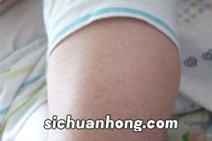 车门润滑用什么油