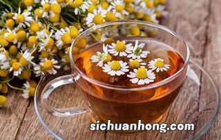 冬天干燥喝什么菊花好