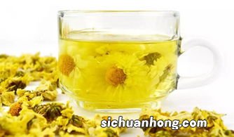 冬天干燥喝什么菊花好