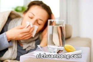 风热感冒能吃什么食物