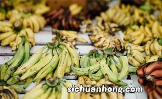 冰冻香蕉可以保存多久
