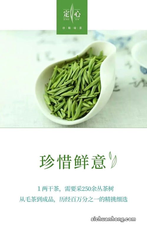 绿茶都是什么时候出新茶