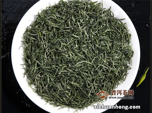 毛尖什么季节采