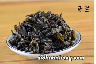 秋奇兰是什么茶