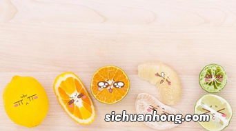 什么可以补蛋白质