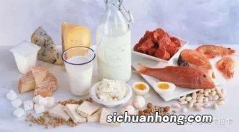 什么可以补蛋白质