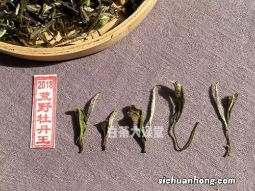 为什么老茶叶越老越好喝