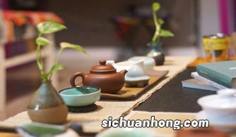 雨水之后可以喝什么茶