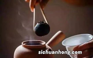 什么样的茶叶适合煮