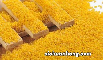 小黄米什么时候吃比较好