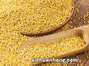 小黄米什么时候吃比较好