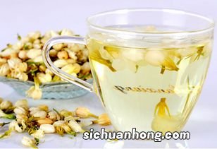 茉莉花茶适于什么季节喝