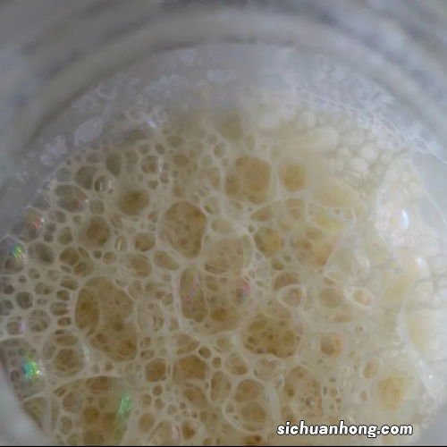 天然酵母可以用多久