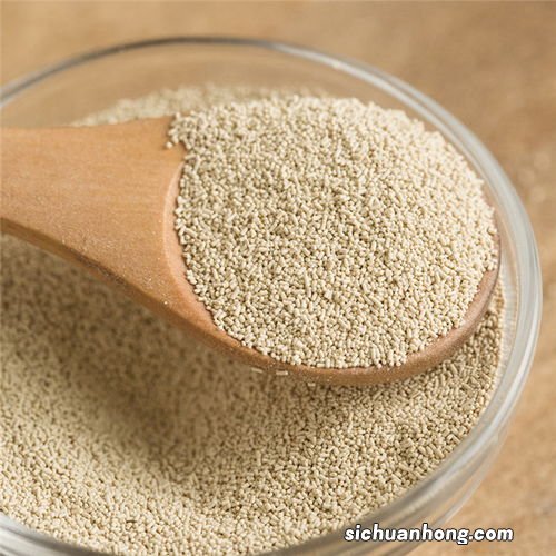 天然酵母可以用多久