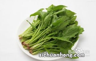 菠菜不能和什么一起食用