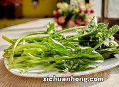 菠菜不能和什么一起食用