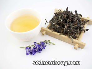 东方美人属于什么茶