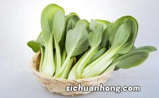 初春吃什么菜好