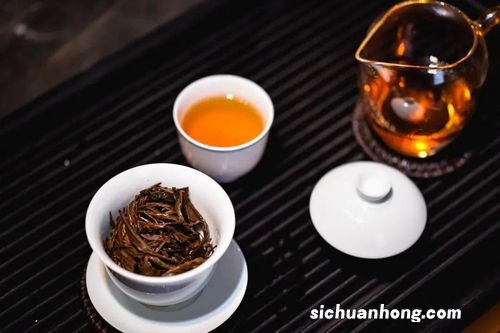 九曲红梅茶 每年什么时候采摘