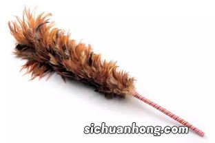 鸡毛掸子的灰尘去哪了