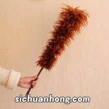 鸡毛掸子的灰尘去哪了