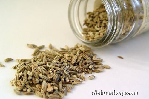 孜然什么人不能吃