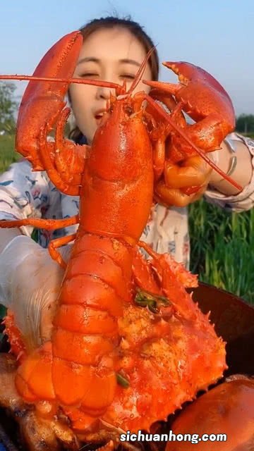 大龙虾怎么吃