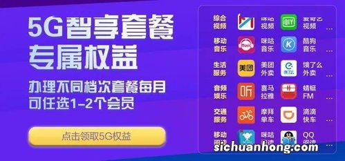 如何查询自己是不是5g套餐