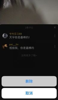 抖音评论插个眼是什么意思