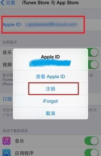 苹果手机怎么清除登录过的id