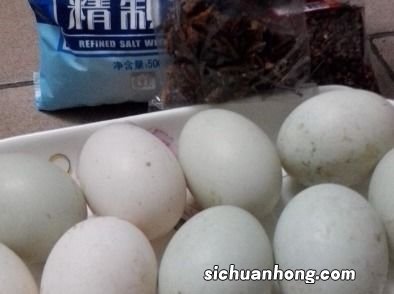 泡盐蛋水的制作方法