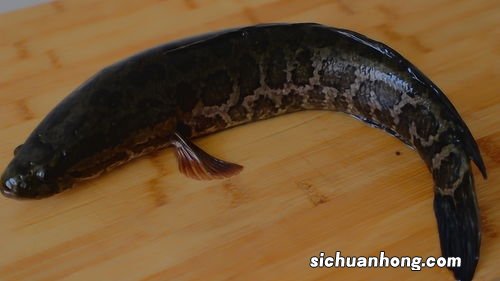 黑鱼怎么做好吃
