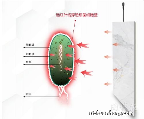 什么是远红外线