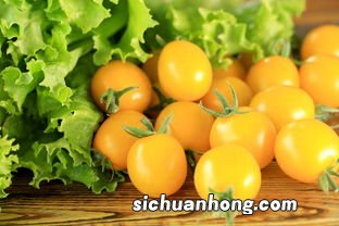黄颜色的圣女果叫什么