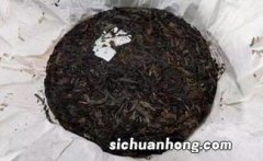 普洱茶里的纸虫什么样