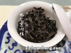 肉桂是什么品类茶