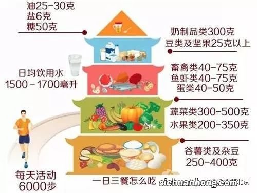 科学膳食是什么意思