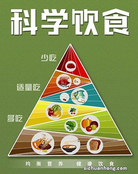 科学膳食是什么意思