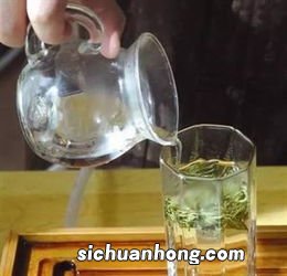 用玻璃杯泡什么茶